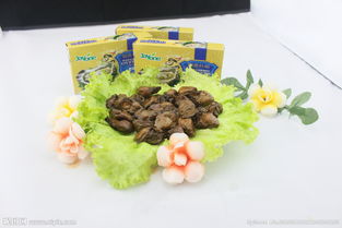 海鲜产品图片专题 鲜香诱人，一键下载海鲜组合装视觉盛宴